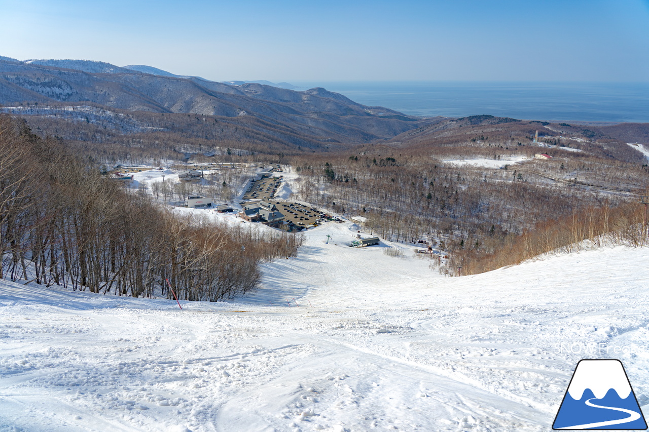 サッポロテイネ｜ついに…本格的な春シーズンが到来！ザクザク雪で凸凹な急斜面が楽しすぎる♪